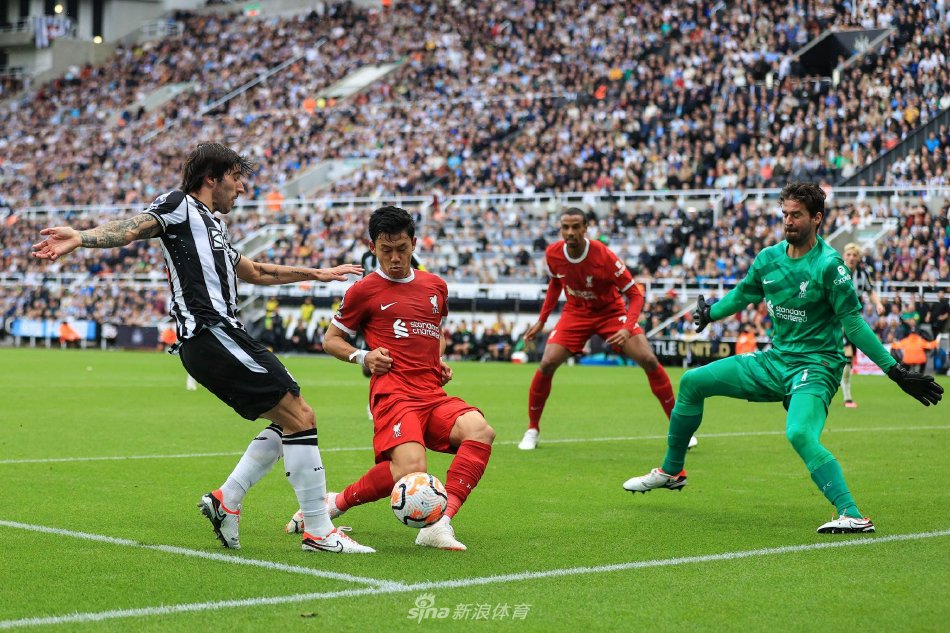 凯尔特人最新伤情：杰伦-布朗出战成疑 霍勒迪继续缺席G5比赛